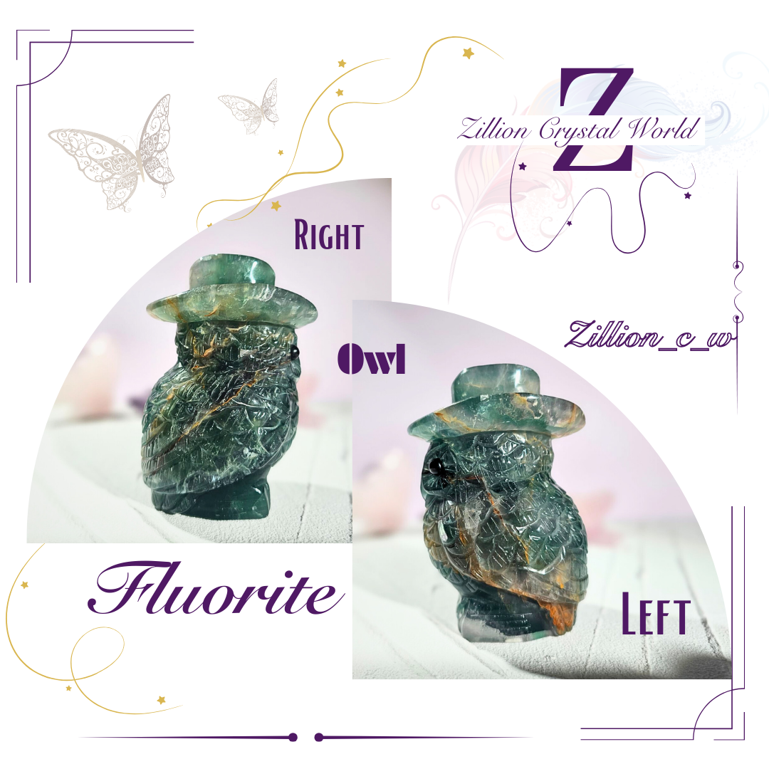 Owl-Fluorite 🦉(I am unique ❤️)  Height-11.5cm Wide-7.5cm